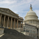 Protesters called on Congress to redirect excess spending toward the development of robotic bees equipped with live-streaming night vision.